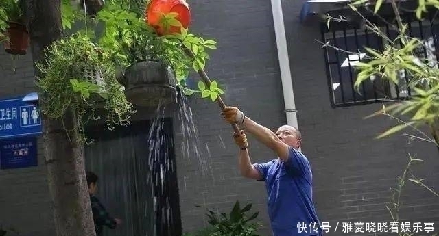 顺口溜|养花浇水的顺口溜,记好了,叶肥根壮花满盆