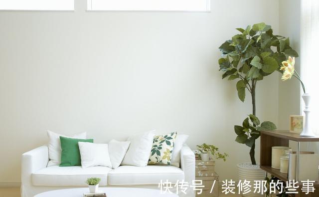 橡皮树|天越来越热,以下绿植却没有休眠,多浇水多施肥,反而生长快