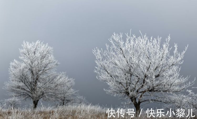 探险|喜欢探险，也装傻充愣的星座，看穿不说破，表面单纯实则城府很深