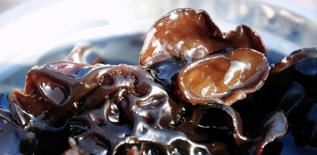 泡木耳时,直接加水就错了!厨师长教你一招,木耳3分钟就能泡软