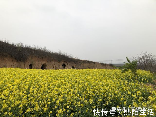 申酉|什么是建禄？老话说：“建禄坐财官，富贵永长年”，是什么意思？