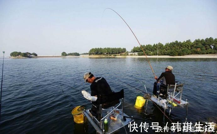 夏天|夏天水库钓鲤鱼,鱼饵这么搭配,轻松上鱼几十斤
