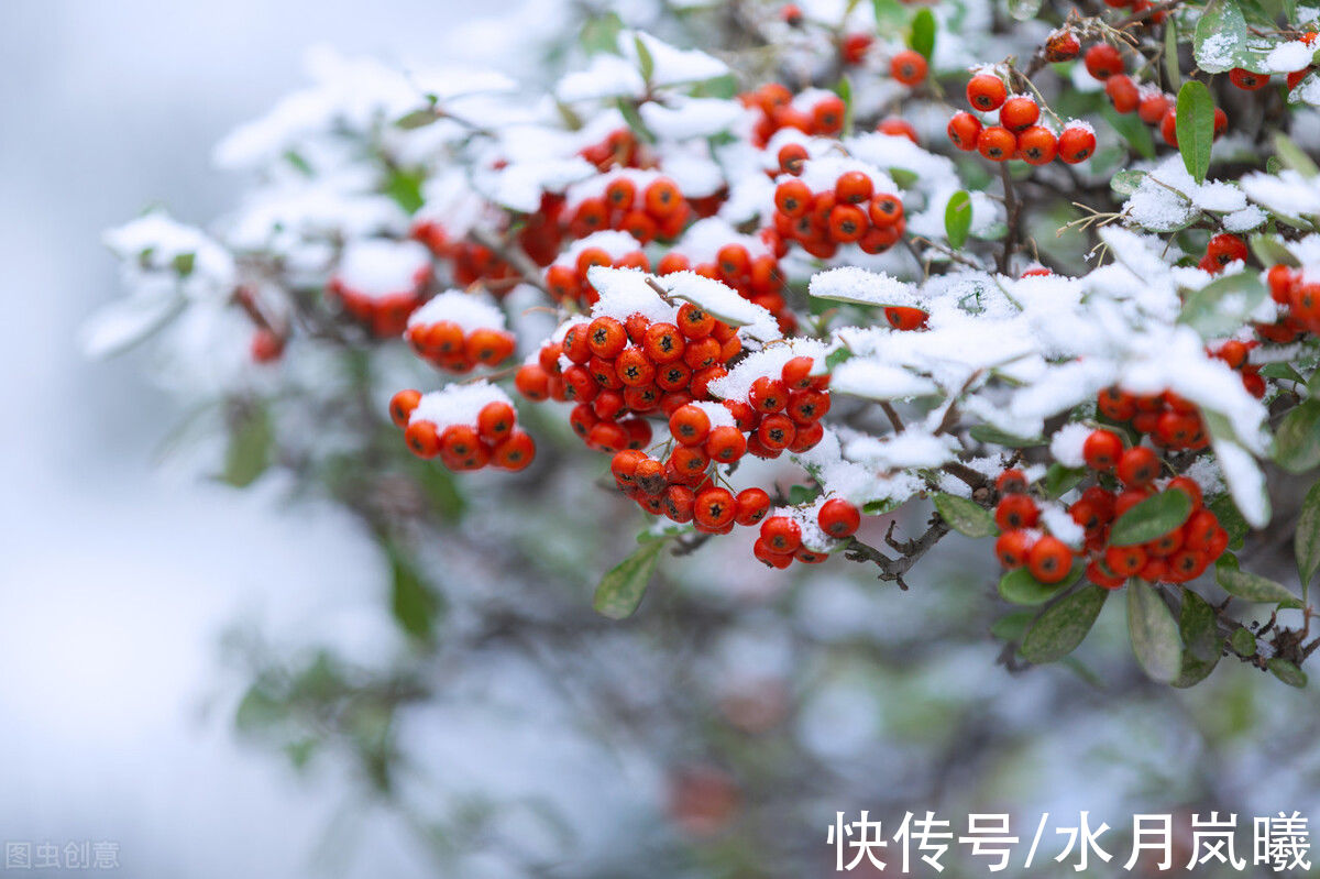 冬未央$心若无尘，落雪听禅，三千繁华凉到底，一叶菩提一叶心