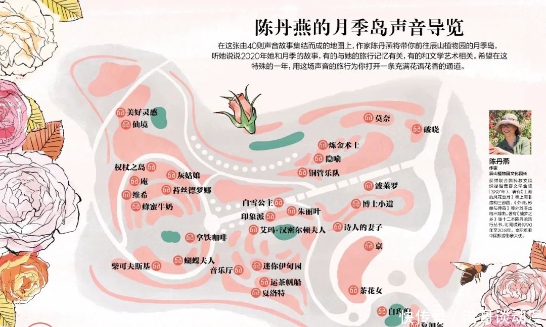 植物园|在辰山植物园，听“文化园长”陈丹燕讲那些月季背后的故事