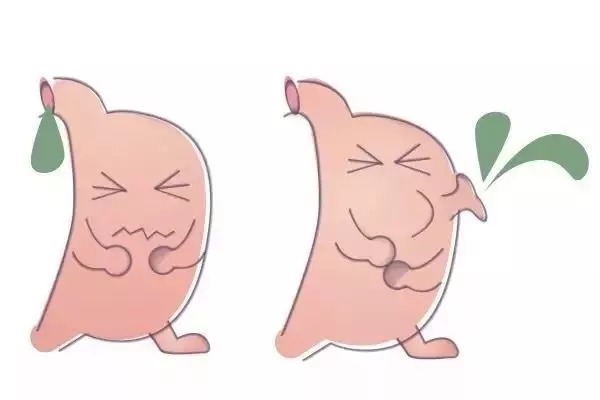 后天|脾胃是后天之本，脾胃养好病难侵