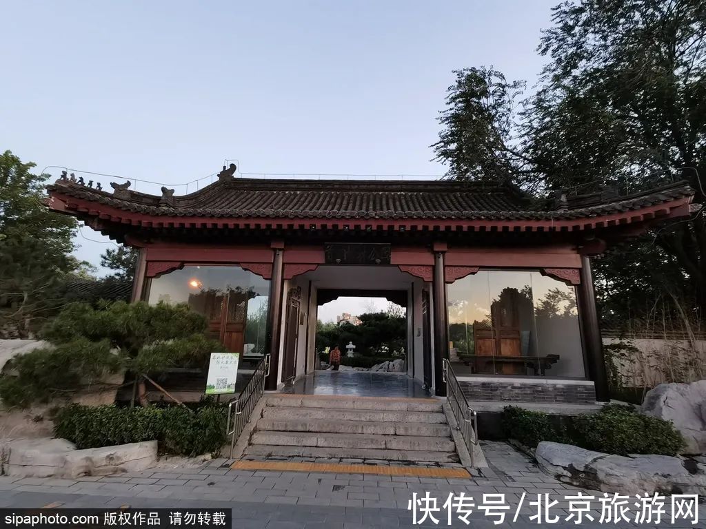 花海|初秋美景惹人醉，北京这些公园连名字都充满诗情画意~秋季还有烂漫粉黛花海，必须安排一下~