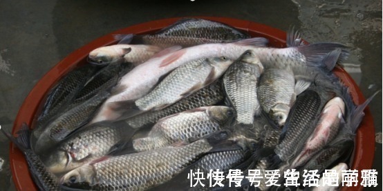 钓友们|端午后别用蚯蚓了,70岁老渔翁教你3招,新手10分钟钓上10斤大鱼!