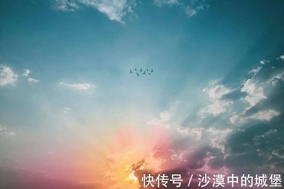 查令十字街84号&当你感到迷茫时,不如读读这本书