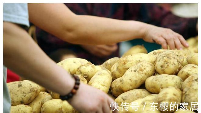 苹果|法国人称地下苹果,俄罗斯人称第二面包,营养丰富,三伏天多吃点