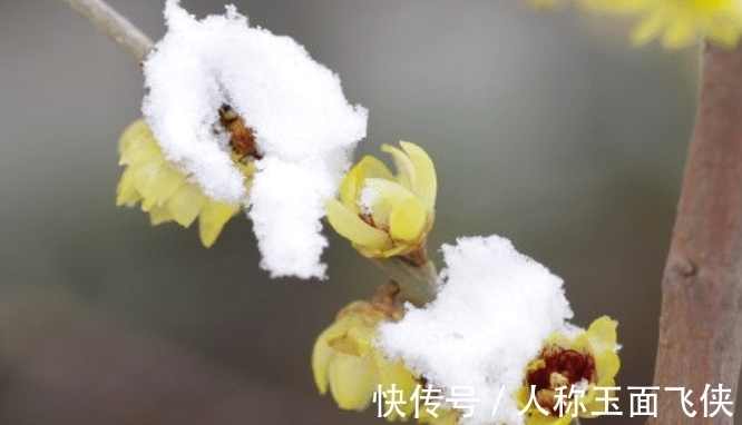 天喜|步入11月上旬的四大生肖，碰巧有“天喜”吉星照耀，财运一路飚旺