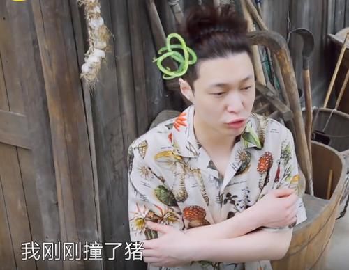 张艺兴|三个角度分析，张艺兴或退出《向往的生活》第六季！