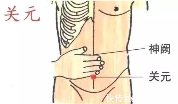 壮肾|中医教你如何十天壮肾,简单易行,就怕你会“抱怨”