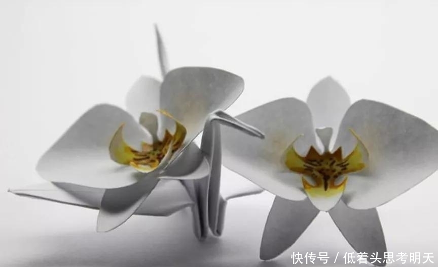  重样|每天折一只千纸鹤，他坚持了1000天不重样，女友被感动到梨花带雨