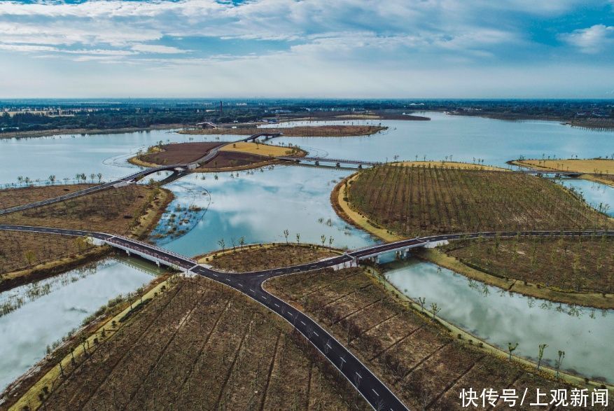 老年|静谧花海，活力运动……崇明这个新晋3A景区都能满足你