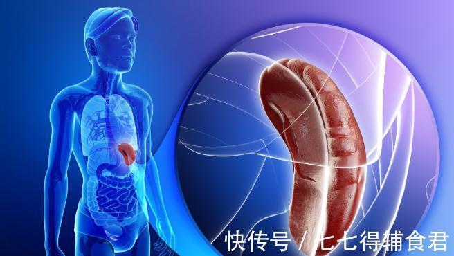 五脏|养心、养肝、养肾、养肺、养脾,养五脏方法齐全了