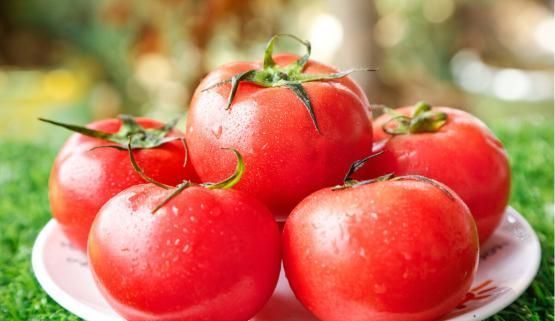 才知道，西红柿身上有个“小机关”，打不打激素，一眼就可以看出