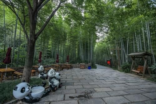 江苏南山竹海：一个“烂大街”的景区，却美如仙境