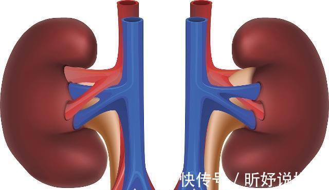 男人|男人睡前解决这个“生理需求”,可能对身体有好处