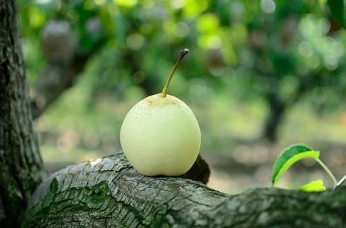 上涨|近年肺结节患者呈上涨趋势，多吃1黄1白，或许有助于消除肺结节