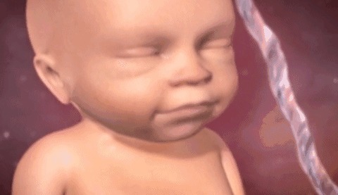 羊水|胎宝在妈妈肚子里无聊不是时候告诉孕妈真相了,怪可爱的