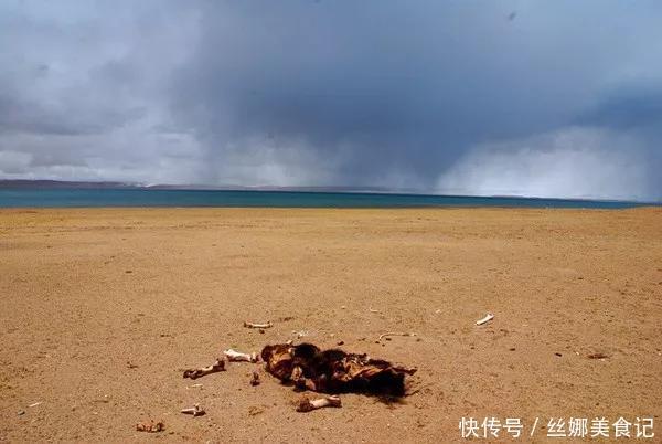 羌塘最惨烈的一次穿越,115人进入仅7人生还