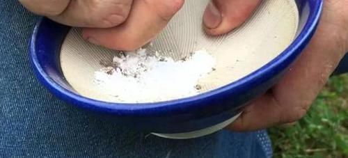 家庭盆栽花草，怕黄叶烂根就喂点药，这些越过期效果越好