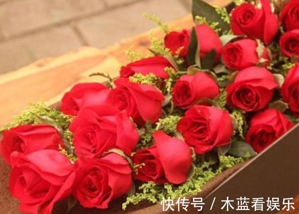 玫瑰|喜欢菊花,不妨养精品玫瑰花“卡罗拉”,红艳如火,寓意爱情!