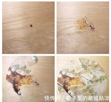 王昱珩|被《人民日报》表扬,1000万姑娘都想嫁,他将家变成热带雨林