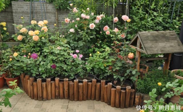 100㎡屋顶打造“花园露台”,网友直呼太壮观了,仿似人间仙境