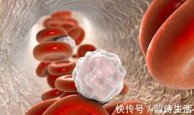 小知识|长期滴酒不沾的男人,最后怎么样了?3大变化或许会悄悄降临