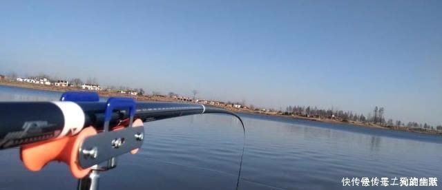 浅水|一到中午就停口该怎么办?频繁补窝是下策,教你一招打开鱼口