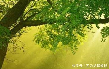 狮子座|狮子座：会考虑你面子的5个星座，可以让你眼前一亮的好友