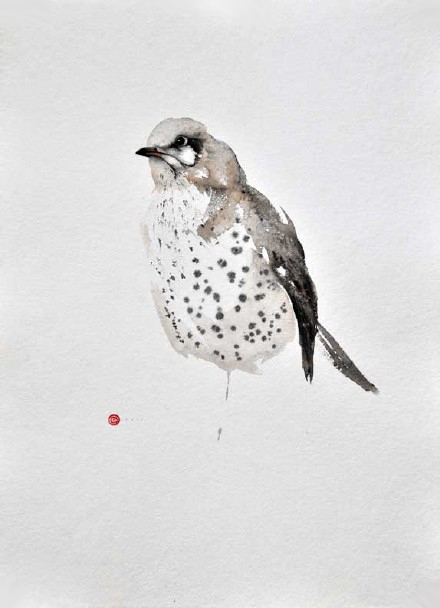 水彩艺@水彩艺术家卡尔·马尔滕斯画的鸟,惟妙惟肖!