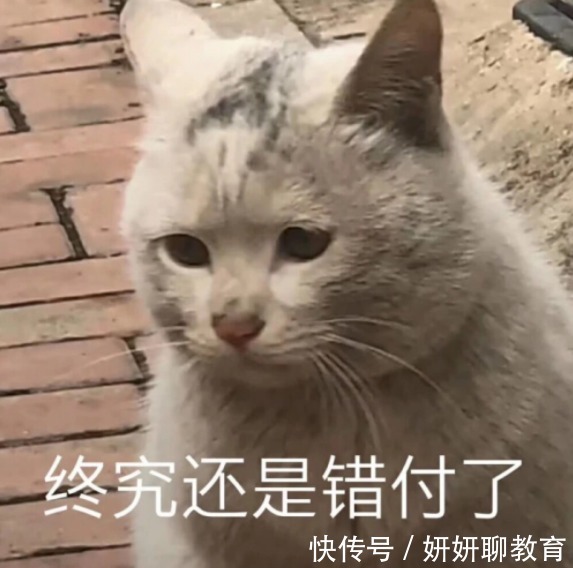 主播|“云考研”四年陪跑，看似奋发图强，实则噱头满满
