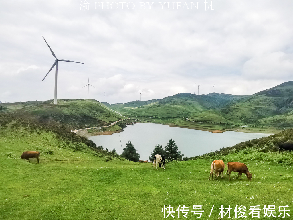 乌蒙山|游南方海拔最高的草原，感受凉都的盛夏清爽，品尝大山里的VC之王