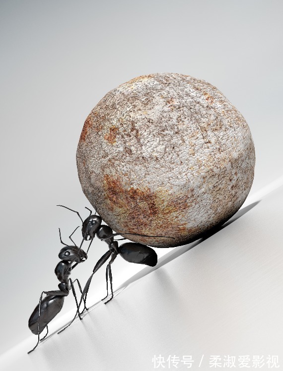 优质蛋白|高血脂是吃出来的?坚持“两低一高”饮食,2个月轻松吃掉高血脂