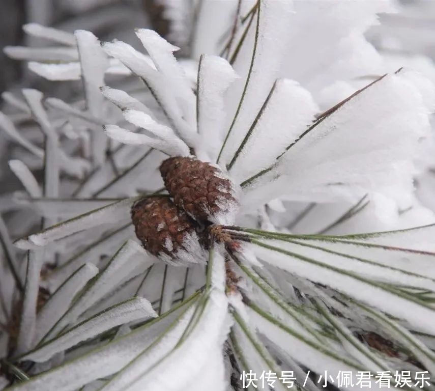 雾凇|雾凇奇观、百里云海！就这两天，快来北湖区仰天湖！