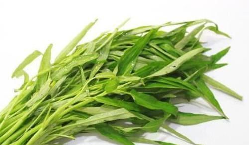 老得慢的女人,都在“偷偷吃”的6种食物,润肤养颜,子宫更健康