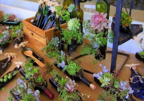 花草|以前常见的旧坛子、石槽,养上花草植物,就成了漂亮的盆景