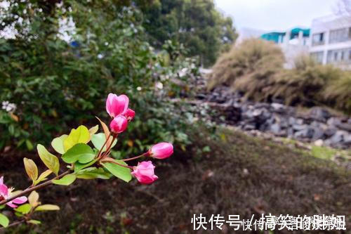 招财纳福|谁家女人属此生肖,是家里的“财神爷”,为家里人招财纳福