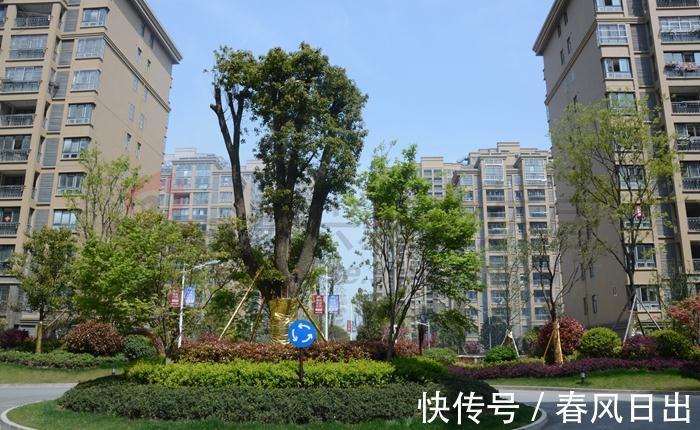 公摊|去售楼处看房需要注意什么？5大问题提前了解，不然多少得吃亏
