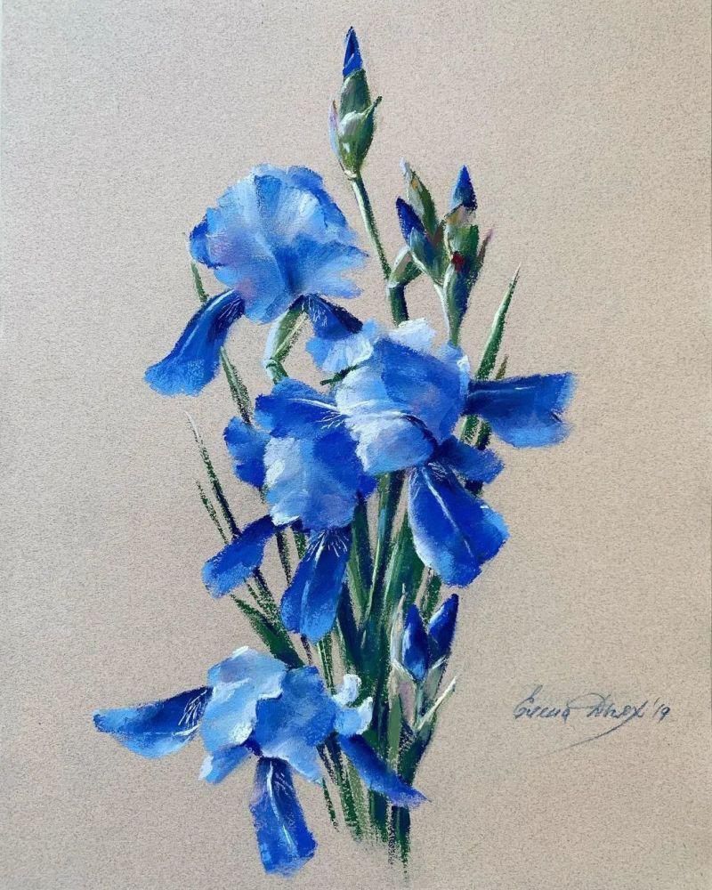 鲜花!太疯狂了!原来用粉笔画画,也可以这么美,简单几招教你,美到邻居羡慕嫉妒