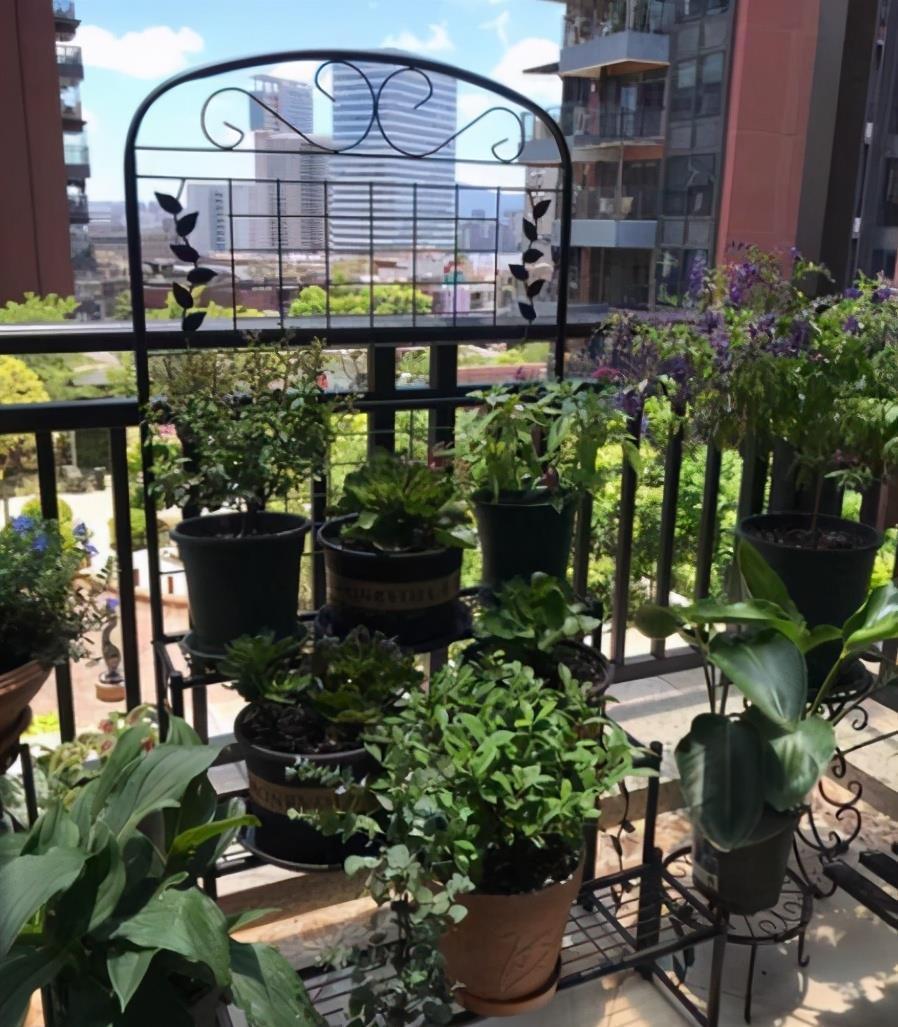 置物架|新家还没住够一年,发现了13处装修败笔,也是中国家庭装修的通病