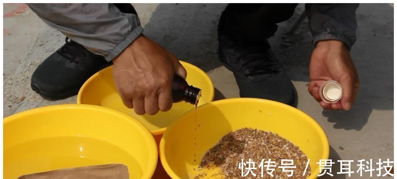 盘点钓鱼圈中最应引起重视的3件事,很多钓友已中招