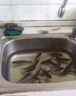 |搞笑GIF:火车站见到的情形,看到这一幕我又相信爱情了