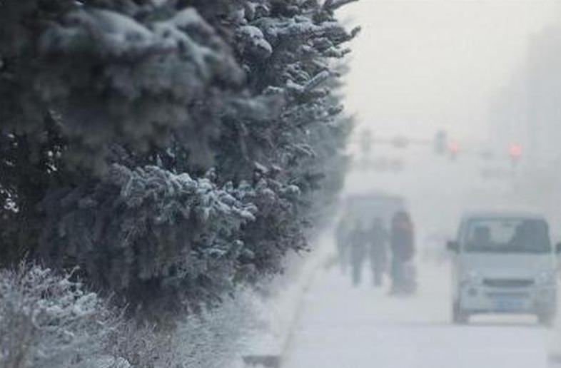 地球有多热,2020年气温再创新高,冻土融化,人类为何不安?