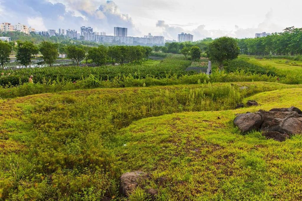 巨型|黑龙江一巨型公园走红，耗资10亿门票免费，被称哈尔滨“后花园”