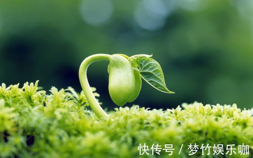 血流动力学|痰湿生小病,淤血生大病!明白这个道理,你就把病看透了