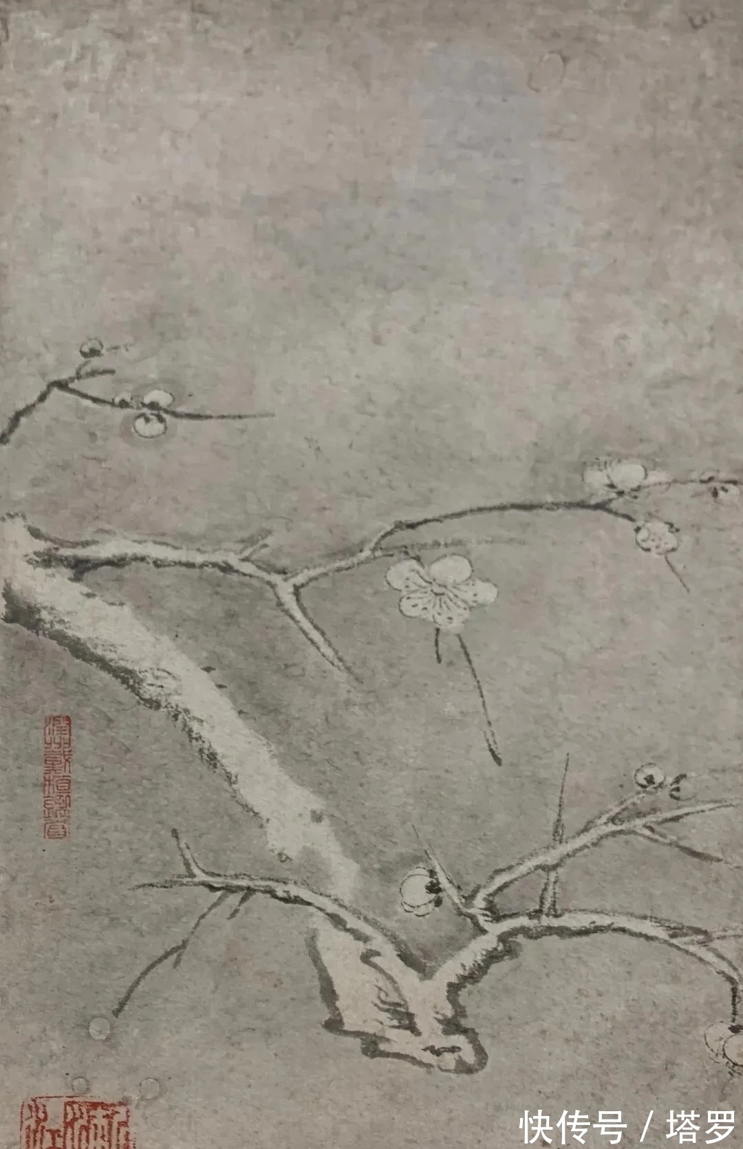 江画梅@他的山水画面貌来源于铁骨冰心的梅花|渐江画梅