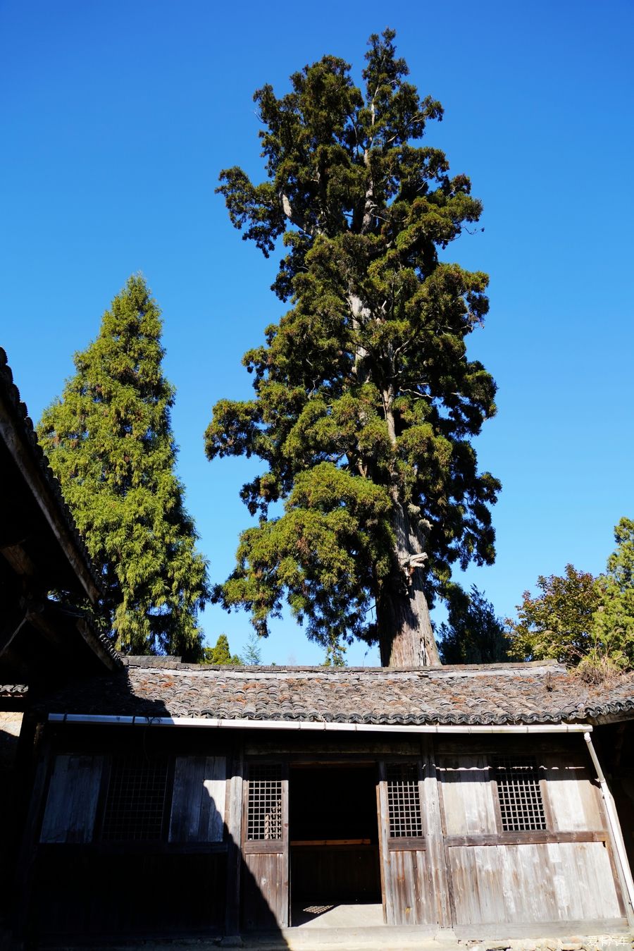 时思寺|浙江行（12）---时思寺